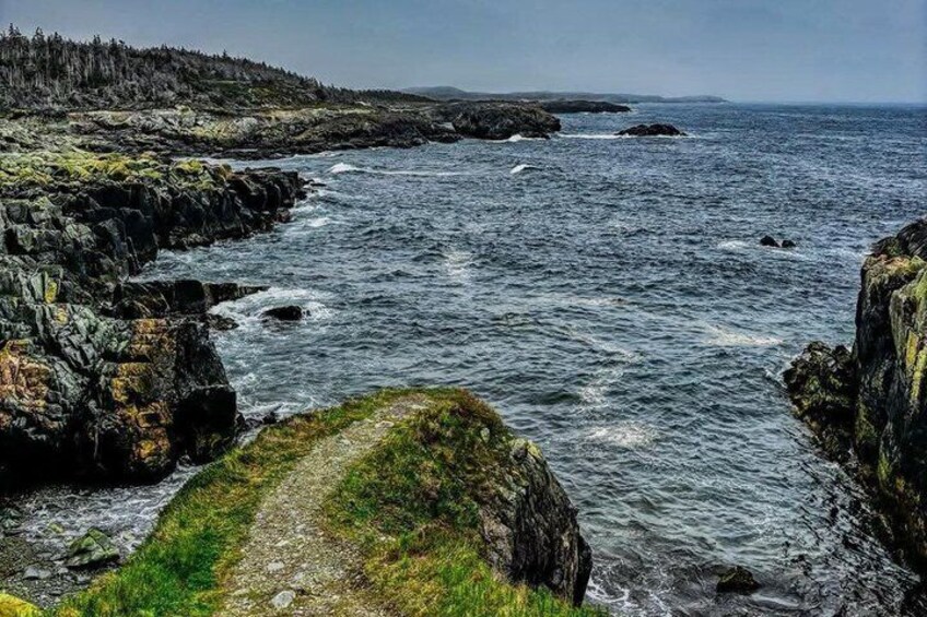Louisbourg Fortress, Lighthouse and Cliffside Adventure 2