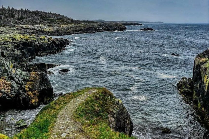 Louisbourg Fortress, Lighthouse & Cliffside Adventure Sydney NS 2