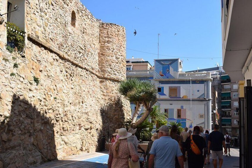 From Albir & Benidorm: Calpe Old Town and Port day trip 3