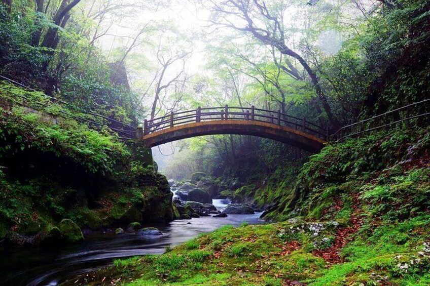 Fukuoka: Mt.Aso, Miyazaki, Takachiho Gorge with Beef Lunch Tour 2