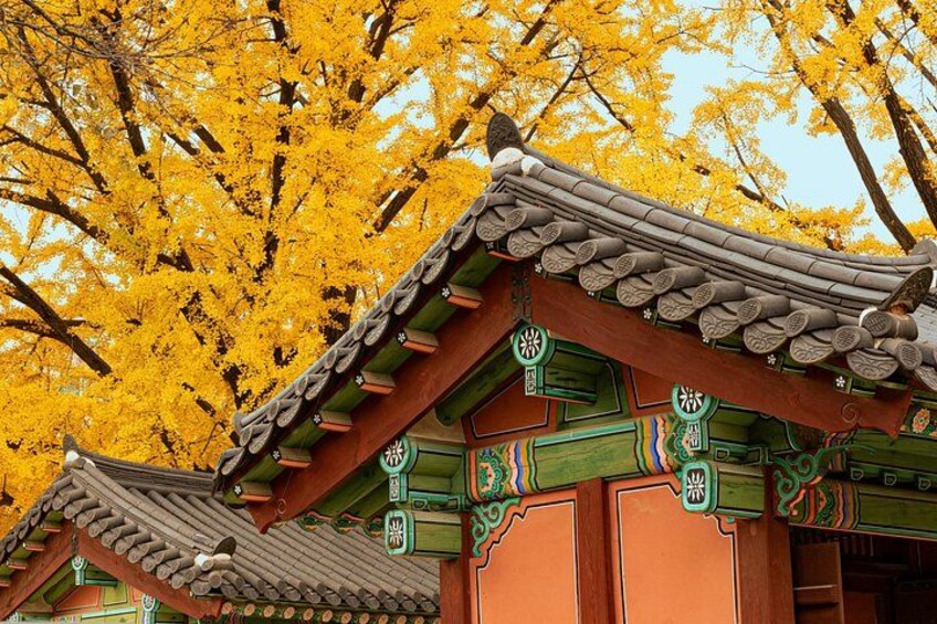 Seoul Private Layover Tour from the Airport with a Local 1