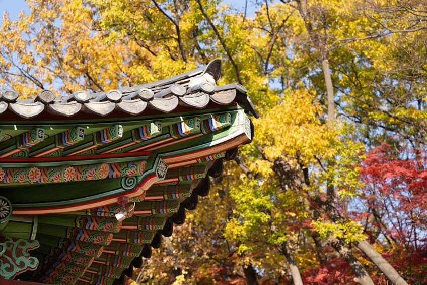 Seoul Private Layover Tour from the Airport with a Local 2