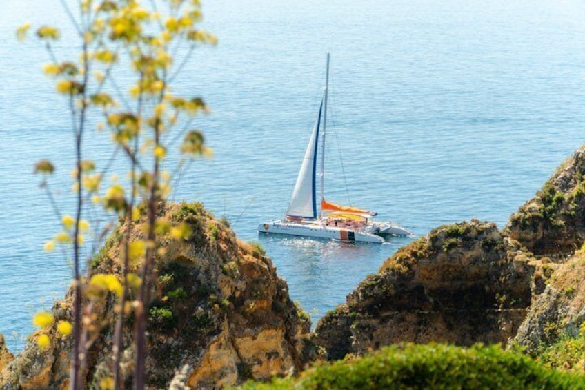 Golden Coast Sailing Tour for 3.5 hours in Ponta da Piedade Lagos 1
