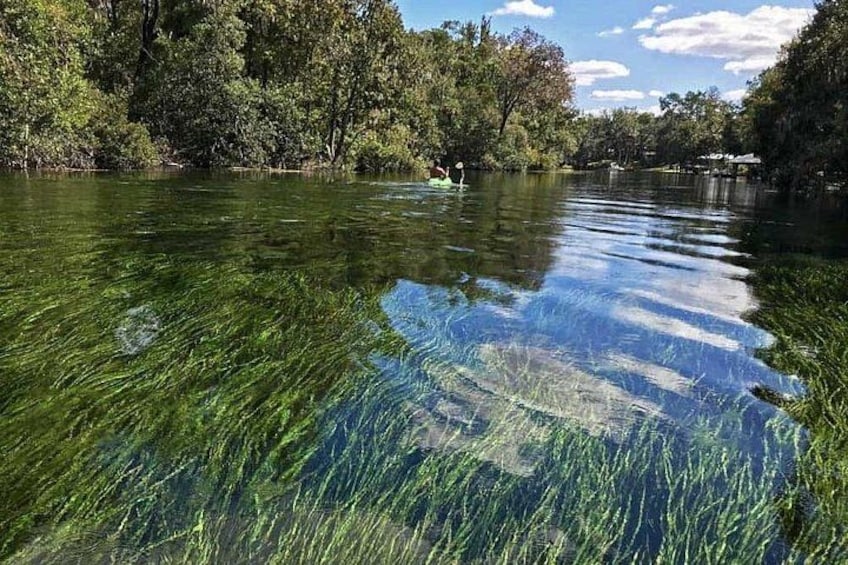 A river with clear water, surrounded by dense trees and a boat in the distance. 2