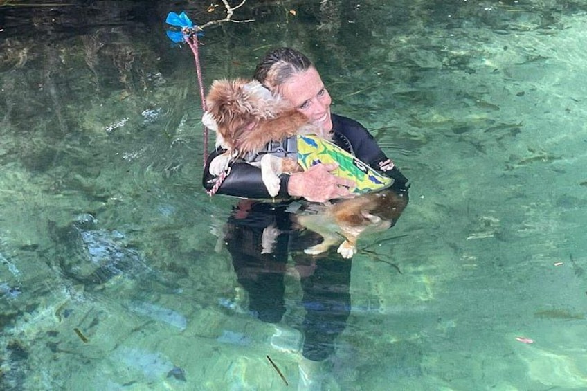 A person holding a dog in clear water. 4