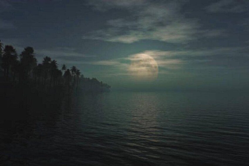 A calm sea with a moonlit sky and a line of palm trees on the left. 5