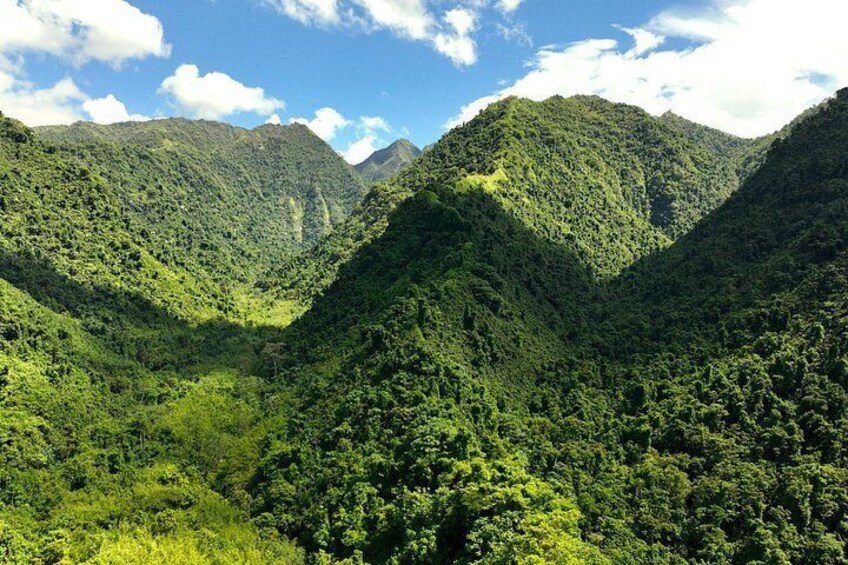 A lush green valley with mountains in the background. 1
