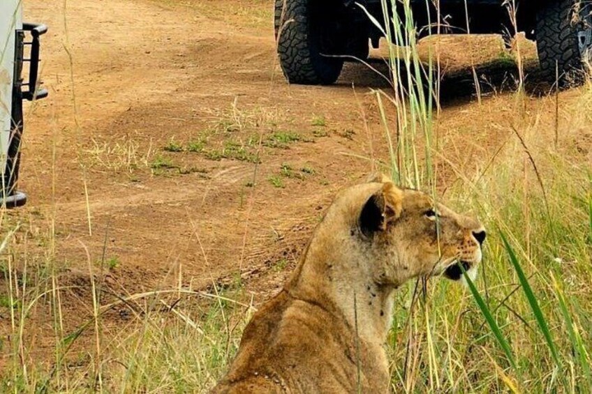 Half Day Tour Nairobi National Park With 4*4 Vehicle 3