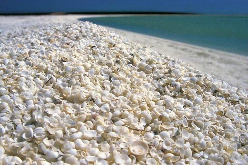 Outback Coast 4 Day Tour 4