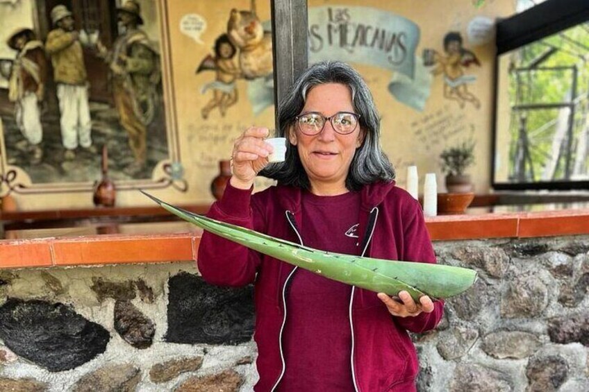 A person holding a large green leaf in front of a stone wall with murals. 4