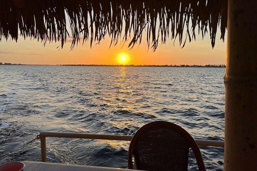 Views from the Tiki 2
