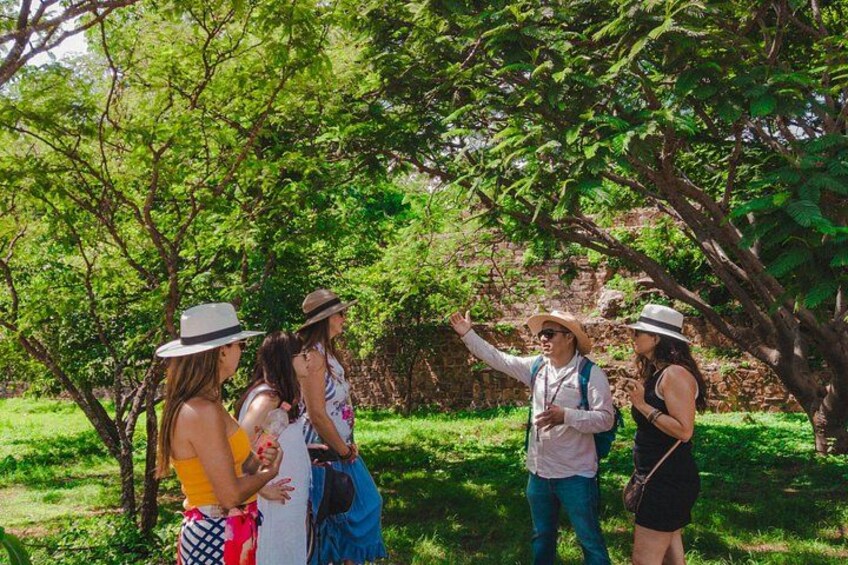 A group of people in a park with trees and grass. 2
