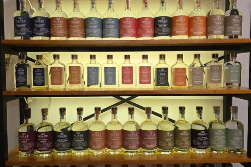 Oaxaca Authentic Mezcal Tasting Experience 3