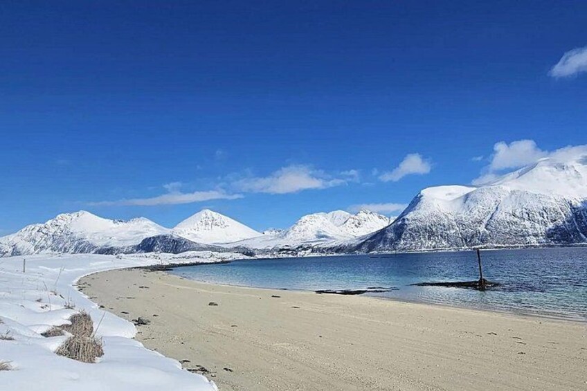 Coral beach in Sommerøya 3
