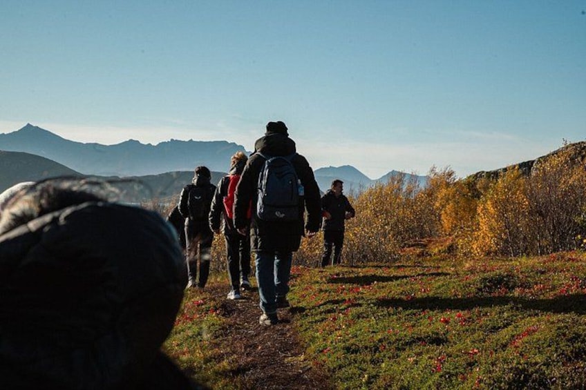 Tromso Excursion Artica Fjords and Sommaroy Islands with lunch 5