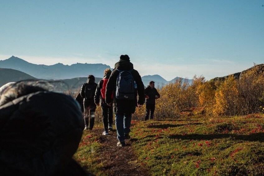 Tromso Excursion Artica Fjords and Sommaroy Islands with lunch 2