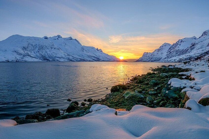 Tromso Excursion Artica Fjords and Sommaroy Islands with lunch 2