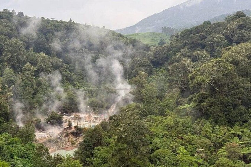 A forested area with visible smoke rising from a ground disturbance. 3