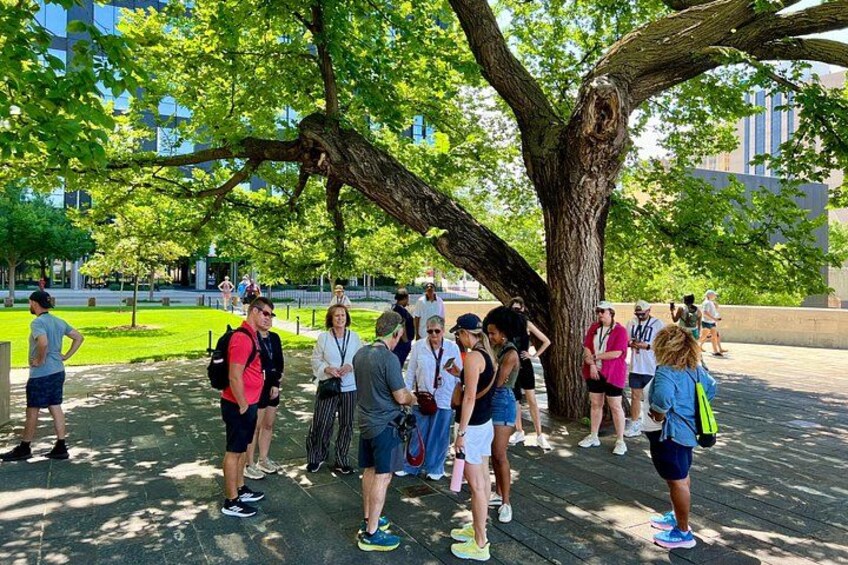 Un grupo de personas conversando de pie bajo un gran árbol en un entorno exterior, con edificios al fondo. 4