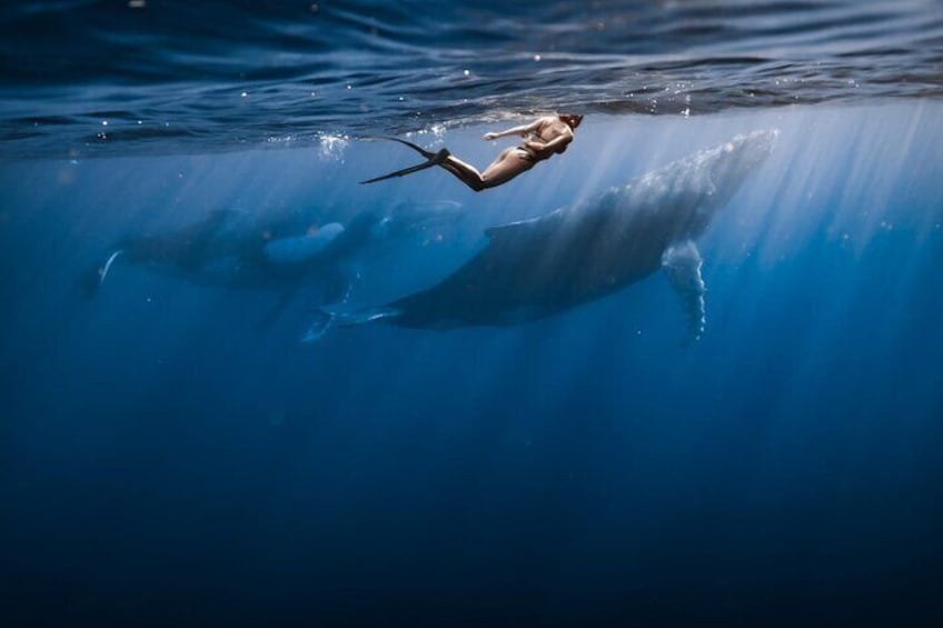 Una persona che nuota sott'acqua con una balena. 1