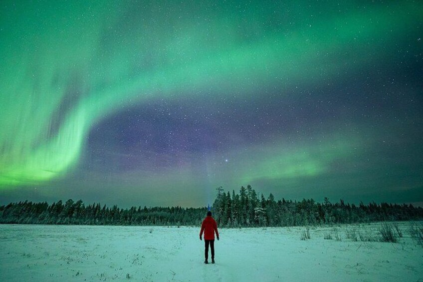 A person standing in a snowy field under a vibrant aurora borealis. 5