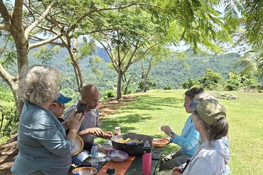 A group of people having a picnic in a grassy area with trees and hills in the background. 5