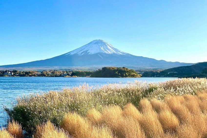 Mt Fuji Scenic View 2