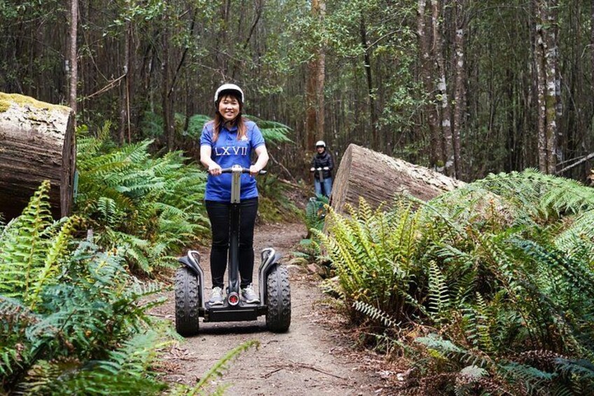 Una persona en un Segway en un área boscosa con helechos y un tronco caído. 1