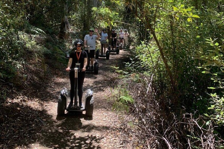 Personas montando segways por un sendero forestal. 2