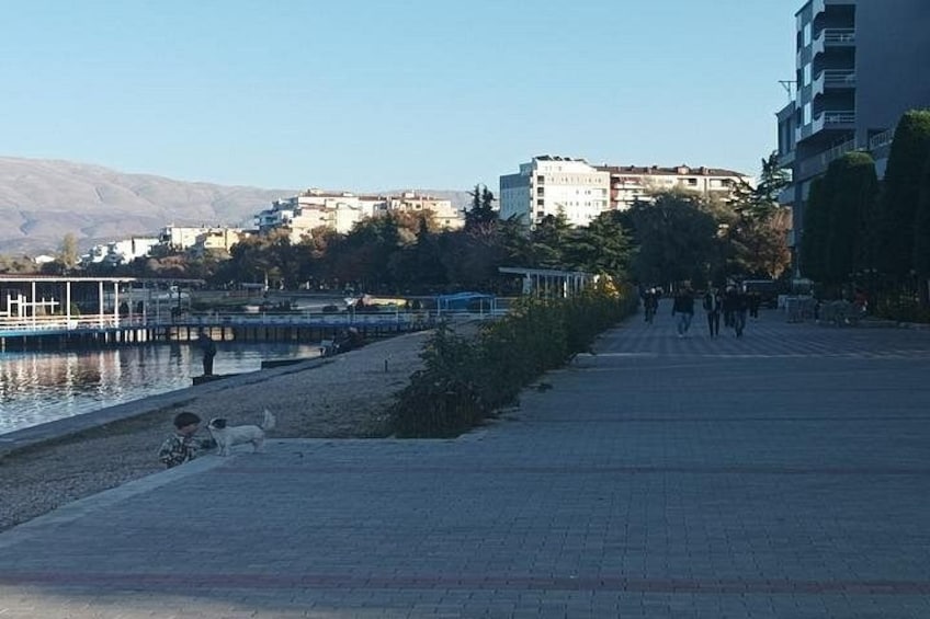 Un paseo marítimo con un perro, un río y edificios al fondo. 3