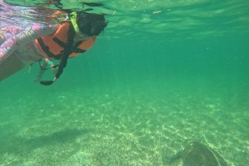 Sea Turtle Snorkeling in Akumal 3
