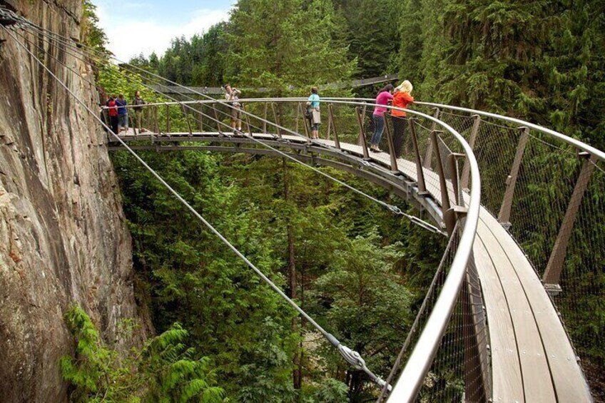 A suspension bridge in a forested area with people walking on it. 3