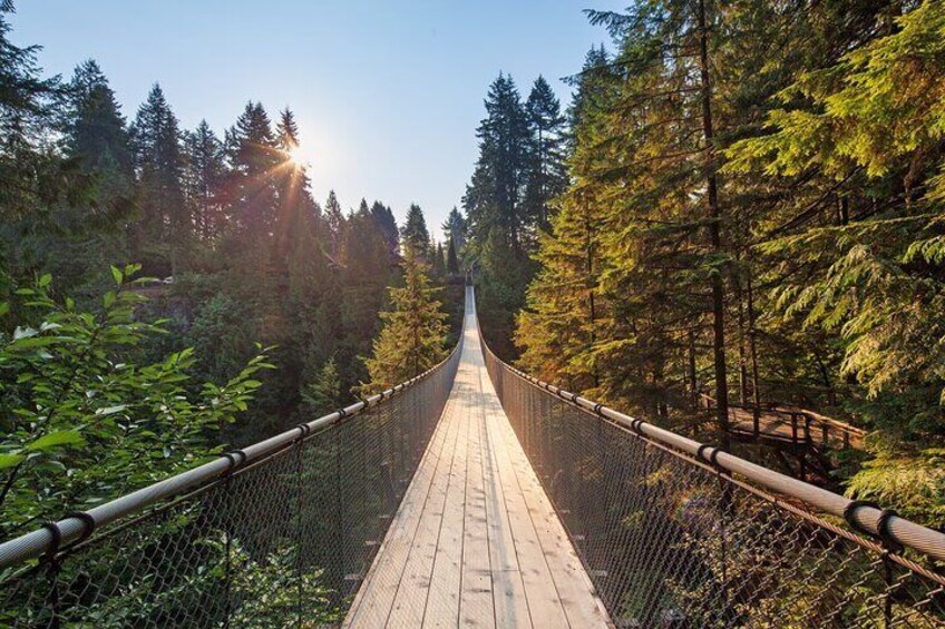 A wooden suspension bridge surrounded by dense forest. 4