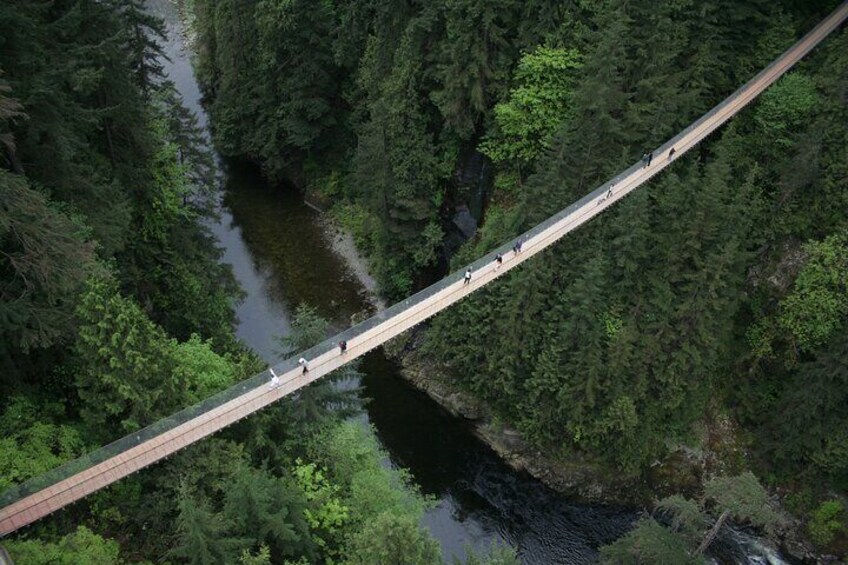 A suspension bridge over a river surrounded by dense forest. 1