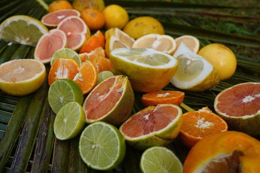 citrus 3