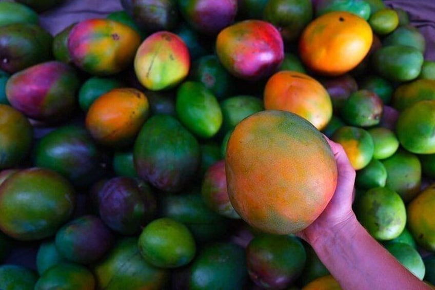 mangos 2