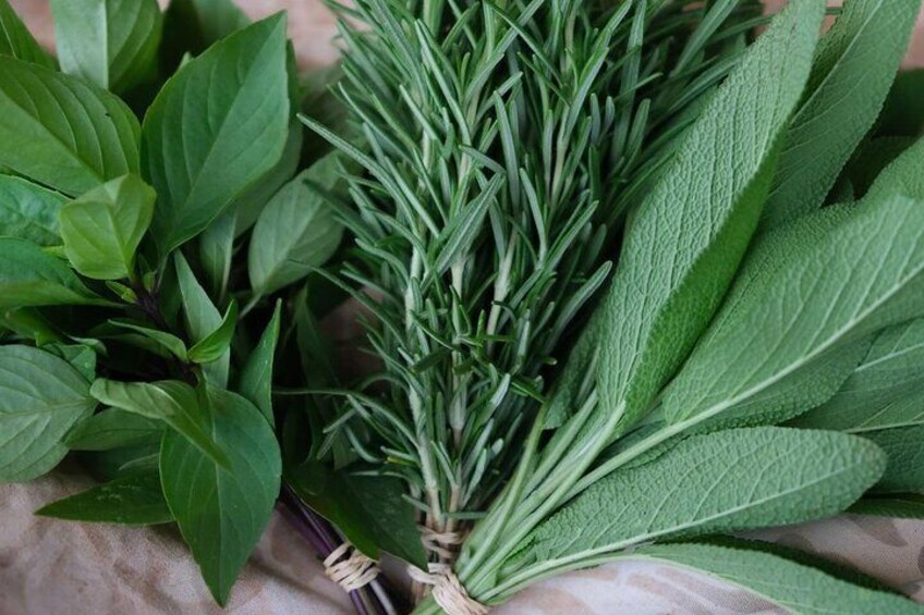 basil, rosemary, sage 2