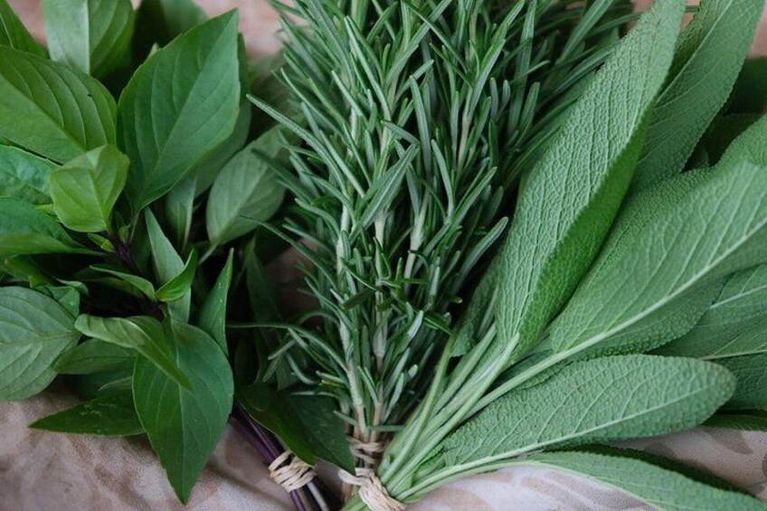 basil, rosemary, sage 2