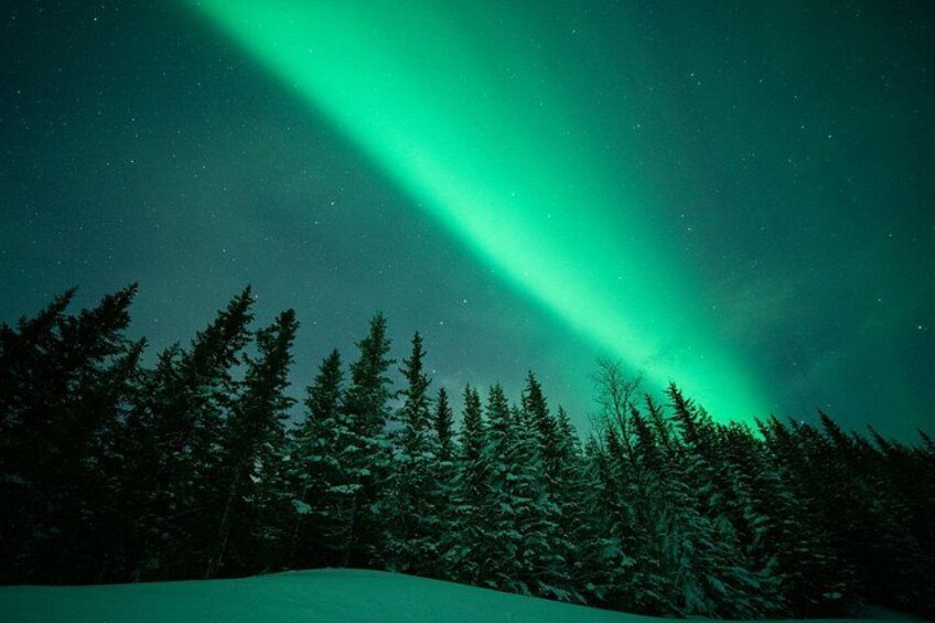 A night scene with a green aurora over a forest. 3