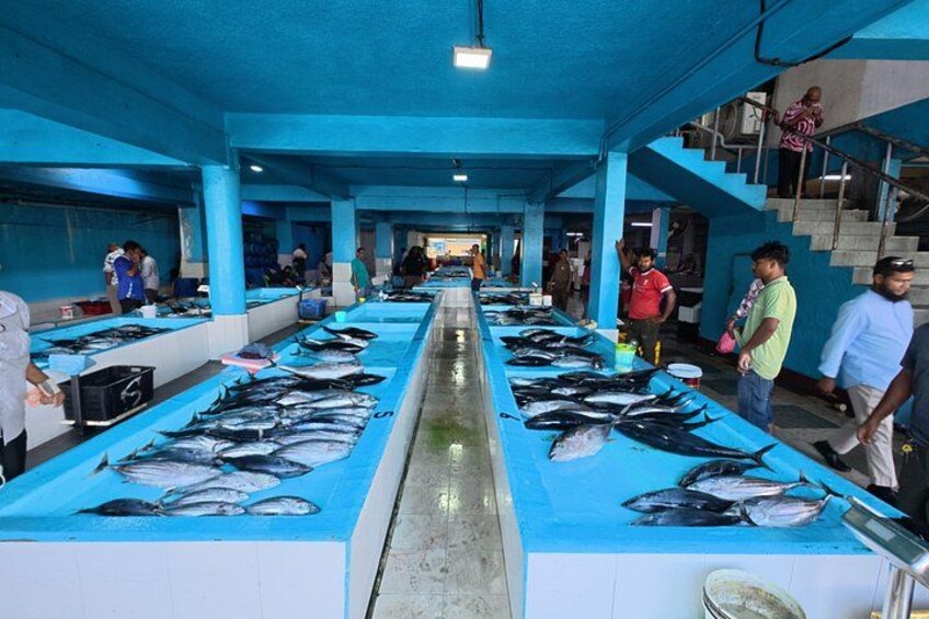 Maldives: Male City Highlights Tour by Car with Local Guide 1