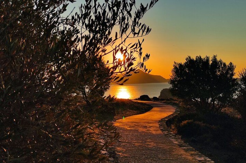 A coastal path with olive trees, a sunset, and a calm sea. 2