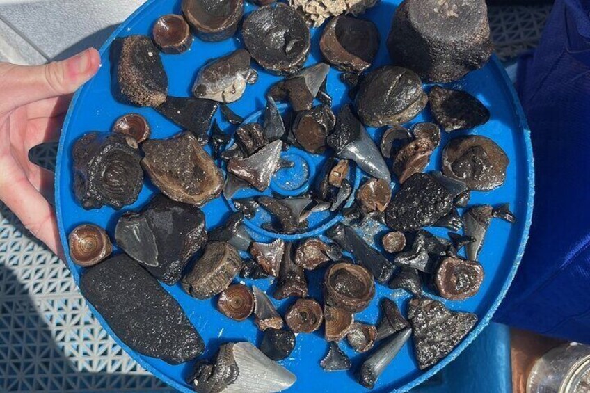 A blue plate filled with various rocks and minerals. 2