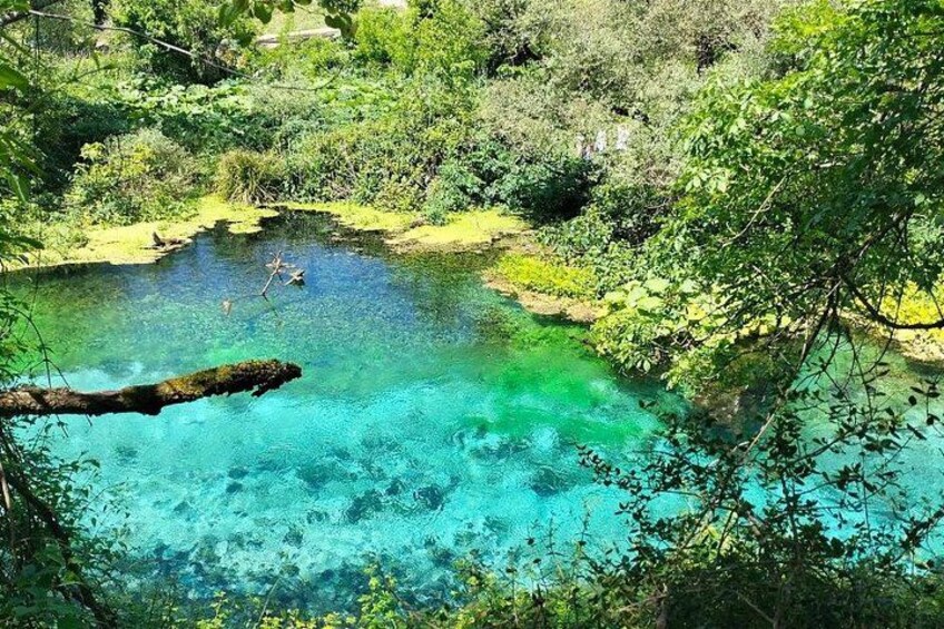 Un étang aux eaux d’un bleu limpide, bordé d’une végétation luxuriante. 3