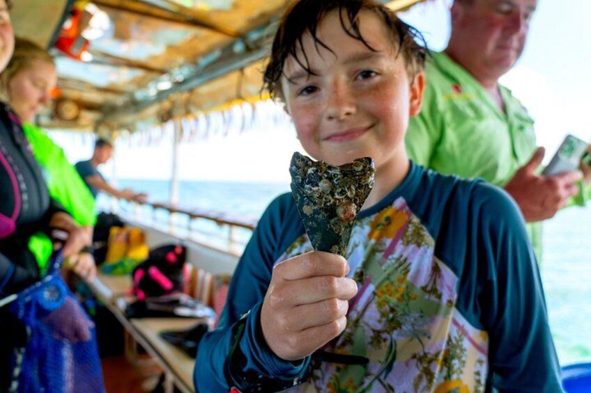 Shark Tooth finds daily! What an amazing megalodon fossil! 4