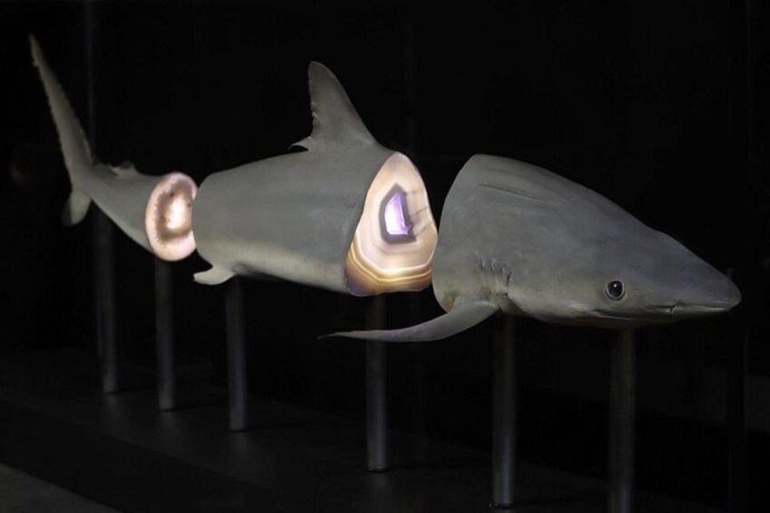 Exquisite Creatures Exhibit By Christopher Marley 2