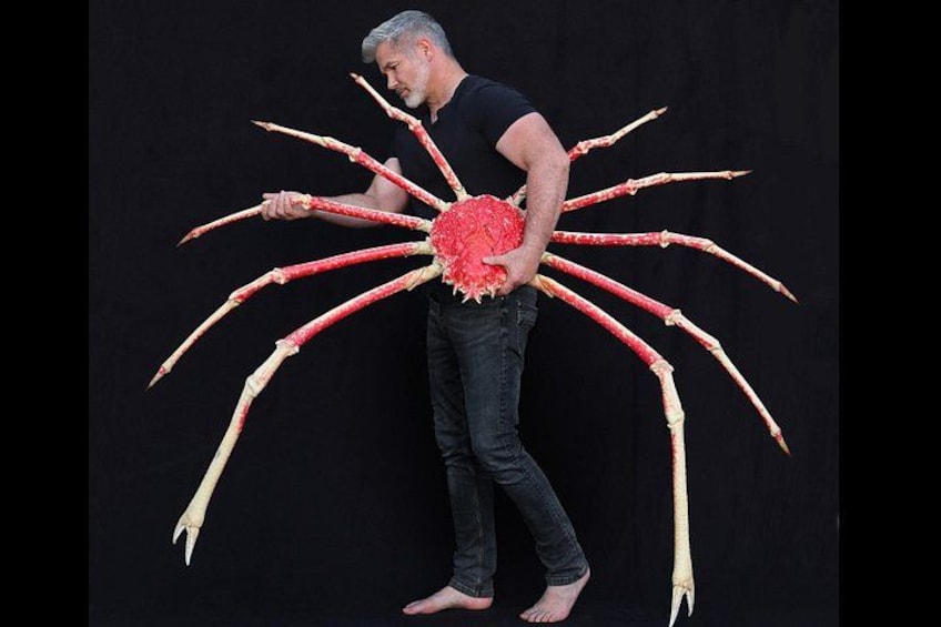 Exquisite Creatures Exhibit By Christopher Marley 3