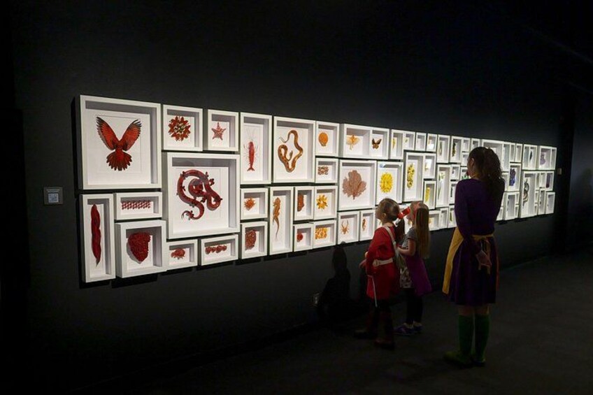 Exquisite Creatures Exhibit By Christopher Marley 2