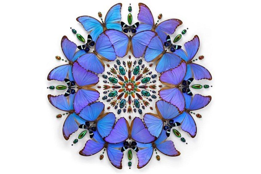 Exquisite Creatures Exhibit By Christopher Marley 1