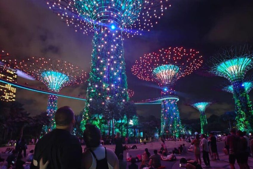 Singapore Private City Tour with Driver 2