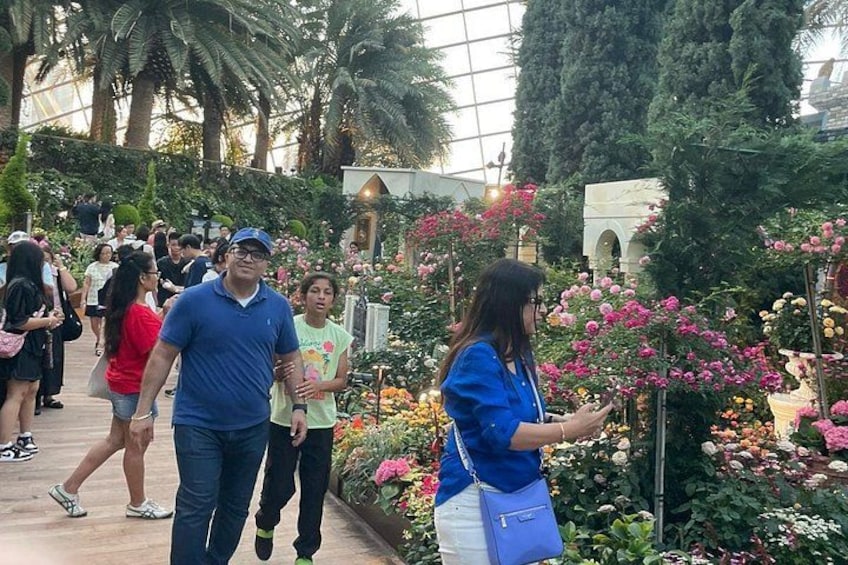 Singapore Private City Tour with Driver 2